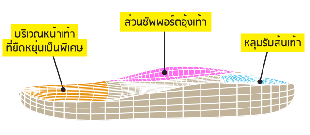 An illustration showing different parts of Klas & Sylph's product features that contribute to favourable foot health (part 1) in Thai language