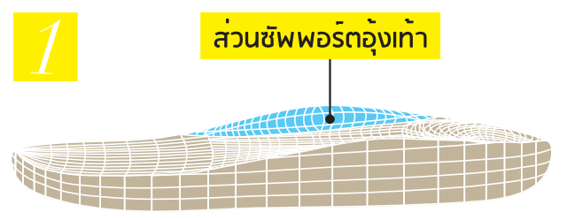 Arch Support – Vector Illustration for mobile (Thai) Klas & Sylph