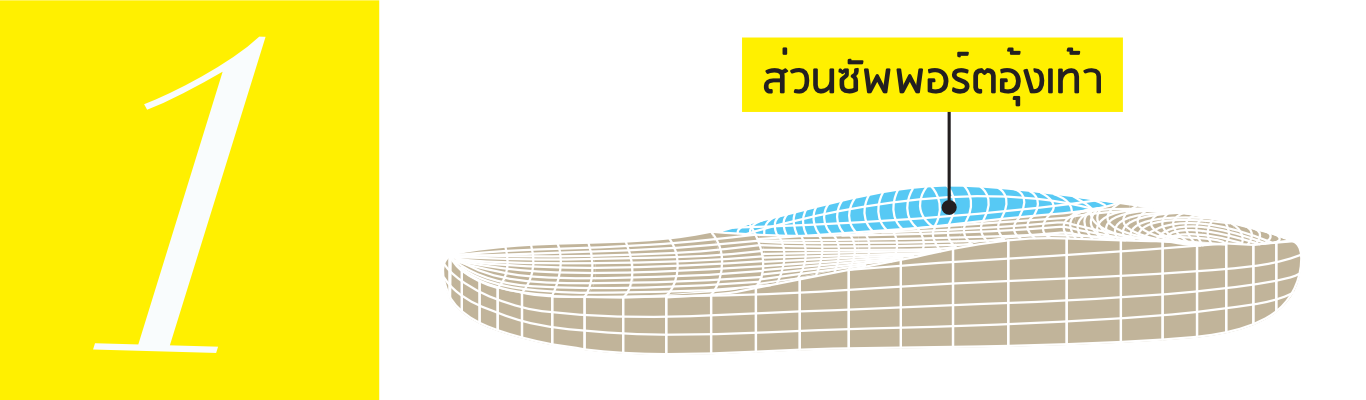 Arch Support – Vector Illustration (Thai) Klas & Sylph