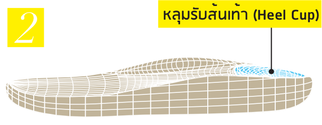 Heel Cup – Vector Illustration for mobile (Thai) Excellent Shock Absorption