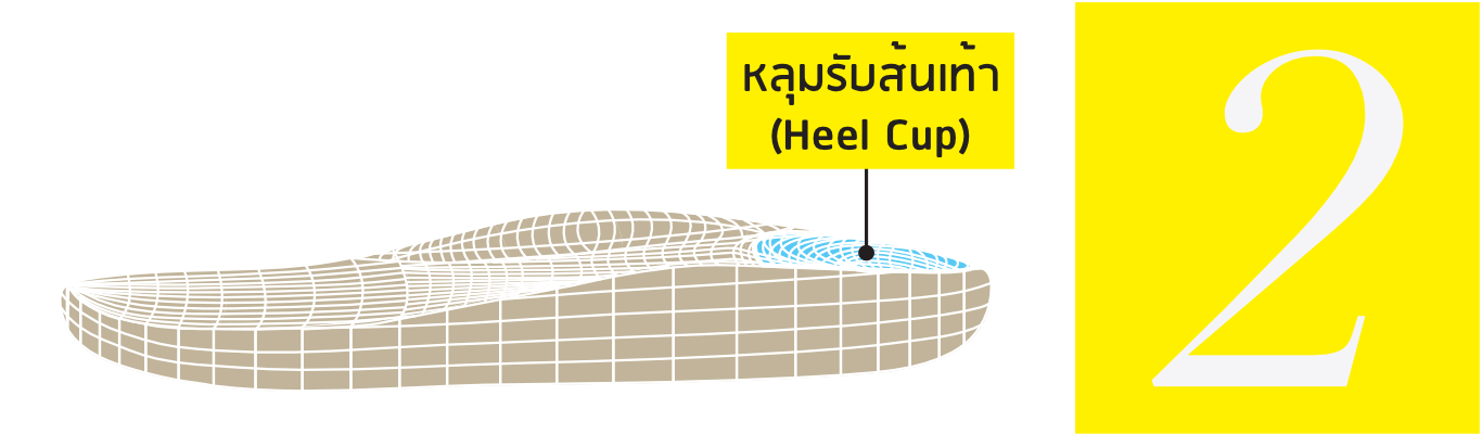 Heel Cup – Vector Illustration (Thai) Excellent Shock Absorption
