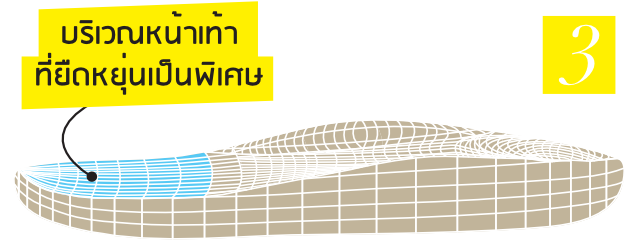 Flexible Toe Spring – Vector Illustration for mobile (Thai) Flexible Toe Spring