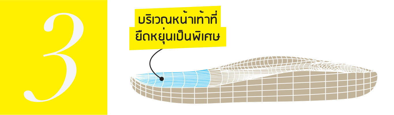 Flexible Toe Spring – Vector Illustration (Thai) Flexible Toe Spring