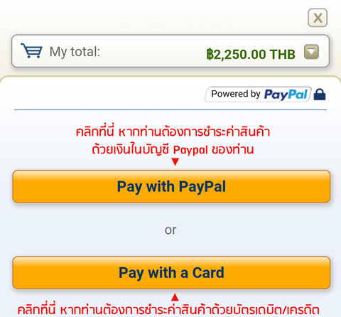 6_paypal-mobile-1-th