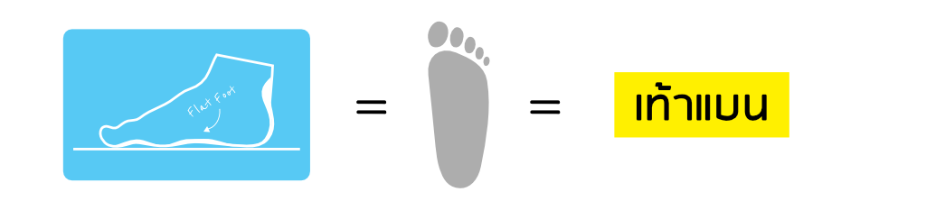 A vector illustration of a flat foot in Thai language