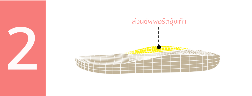 2-archsupport-crop